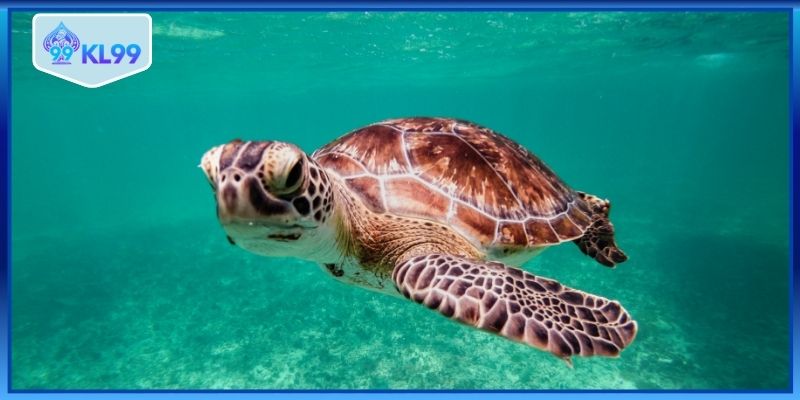 Cách soi cầu lô 2 nháy hôm nay chuẩn